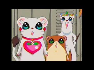 행복한 세상의 족제비6 (더빙_2시간모음)