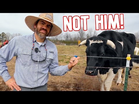 Not Him Now! Already Had Enough Trouble From The Others.