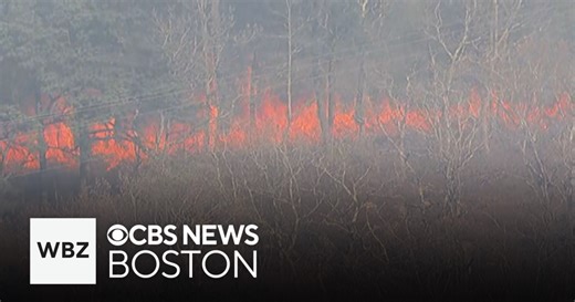Large brush fire burning on Cape Cod