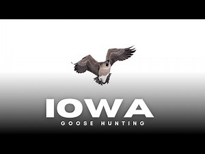 They Finished From the Stratosphere | Iowa Goose Hunt