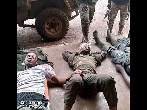 Ambazonia fighters bleeding military terrorist like never before