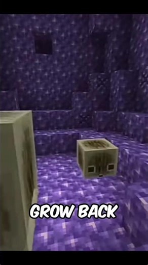 Sulfur CUBE & New Biome Added In Minecraft #shorts #minecraft