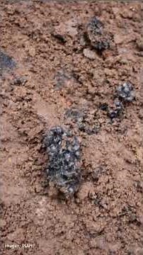 INAH confirms stunning pre-Hispanic discovery in Veracruz