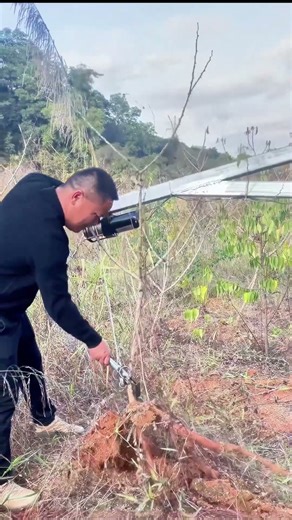 DIY Tool for Uprooting Sweet Potatoes - Easy and Efficient!