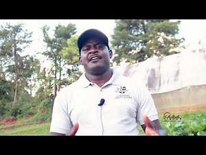 urban farming with vertical bags from real ipm Kenya