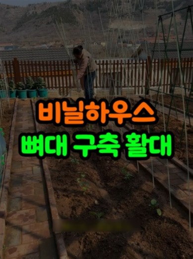 👉 고강도 하우스활대 / #비닐하우스 #강선활대 #농자재 #하우스골조 #농업용품 #꿀템 #꿀템추천 #쿠팡추천템