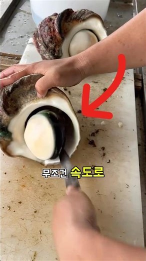 Clams that slow-handed people can't eat