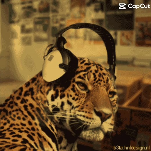 The_record_store_cats (@therecordstorecats)’s videos with original sound - The_record_store_cats