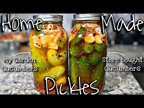 The BEST Homemade Spicy Pickle Recipe | How To Make Pickles