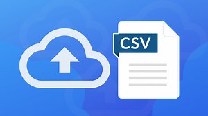 Building Your CSV File for Multi-Check Uploads