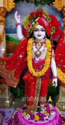 Radhe Radhe🥰❤️#bhaktiwithradhekrishna_short#krishnworld#viralreel#radharani#viral#dwarka#dwarkadhish