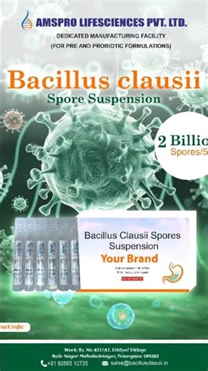 Bacillus clausii spore suspension by Amspro Lifesciences Pvt Ltd