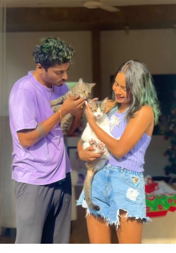 Create a Pet-Friendly Home with Asian Paints