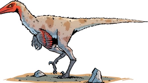 The ancient predator that may have been smarter than modern primates