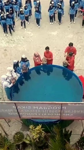 SMKN 1 Ponorogo Launching Program SIKAP (Sekolah Inovatif Ketahanan Pangan) dengan menabur benih lele. #smea #ponorogo24jam #smkn1ponorogo #ketahananpangan #smekansa