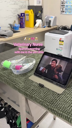 Opening Up the Vet Clinic: A Day in the Life