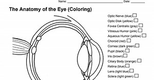 Anatomy of the Eye (Coloring).pdf