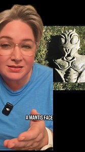 12K views · 369 reactions | Mantis Beings are often described as...