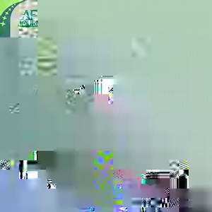 1.2K views · 53 reactions | First time visitors to the Dark Forest...