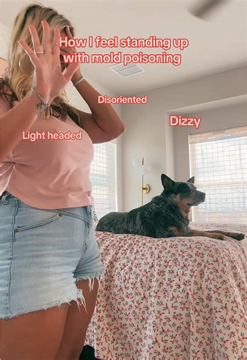 Understanding Mold Poisoning Symptoms and Effects