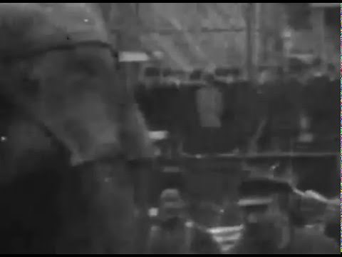 EdisonElectrocutesElephant