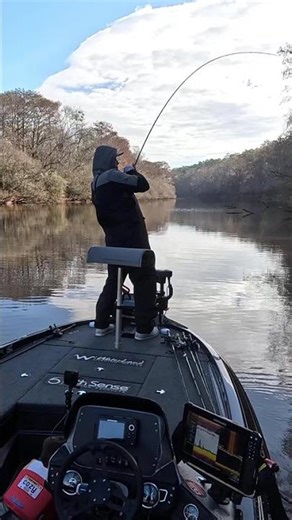 Spinnerbait almost takes me out!!! #fishing #bassboat #outdoors #fishing #boat