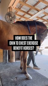 3.3K views · 1.3K reactions | The chin-to-chest exercise (also called...