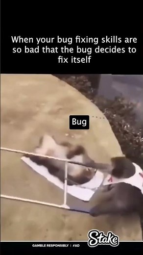 That feeling when someone's got your back at the worst time....#bugs #debugging #funny