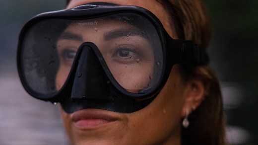 Alex Schnell demystifies what humans know about octopuses