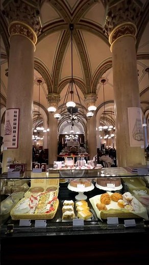Discover the unforgettable coffee houses of Vienna 🇦🇹☕️ (Café Central) #vienna #cafe