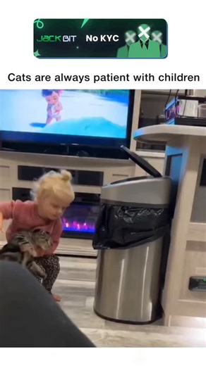 Tabreel.io™️ on Instagram: "This post shows a calm house cat letting a small child poke, hug, lean, and clumsily pat it with the kind of patience only pets seem capable of—barely blinking while the toddler treats it like a soft, living toy. It taps into the viral trend of “animals tolerating kids” reels, where the comedy comes from the cat’s resigned expressions, slow blinks, and quiet acceptance as the child’s enthusiasm grows louder and less coordinated by the second. The replay value hits in