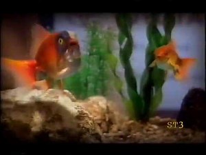 Carlton Continuity Ads 06-10-99