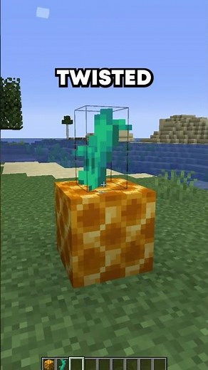 How to Build a Pineapple in Minecraft