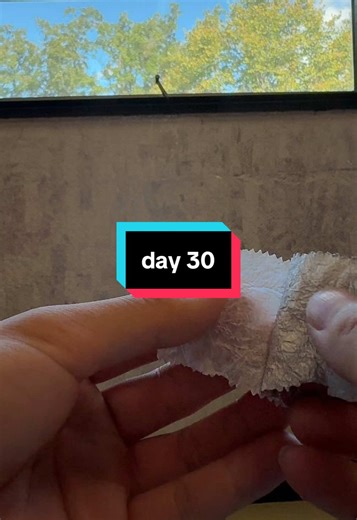 Creating a Satisfying Gum Wrapper Wall