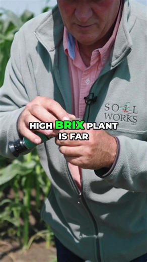 You Can’t Out-Sugar a Plant #regenerativeagriculture #organicfarming #planthealth #soilhealth