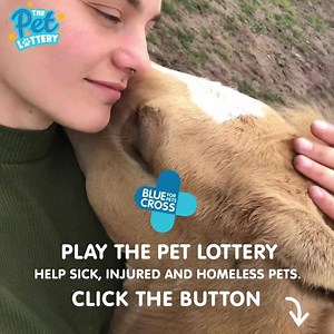 2.7K reactions · 352 shares | You do everything with your pet. Now you can win together too! Our £10,000 Super Draw and £1,000 Weekly Jackpot are waiting. | Blue Cross UK | Facebook