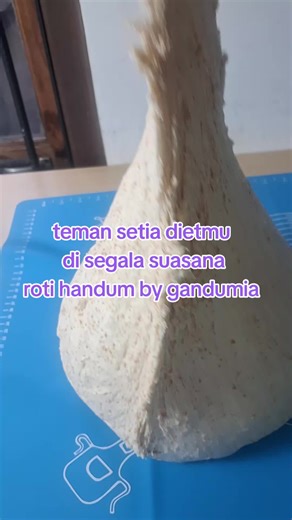 Roti Gandum Lembut, Teman Setia Dietmu