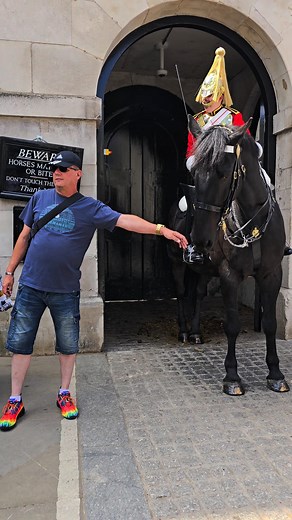 3.2M views · 10K reactions | Please beware of the Horse Guards's Rules when visiting the majestic King's Guard in London. I filmed this Facebook Reel today #thekingsguarduk Thank you for your service! ❤️ #kingsguard #horseguards #BritishTradition #military #fbreelsfypシ゚viralシ #householdcavalry #uk #soldier | At Horse Guards | Facebook
