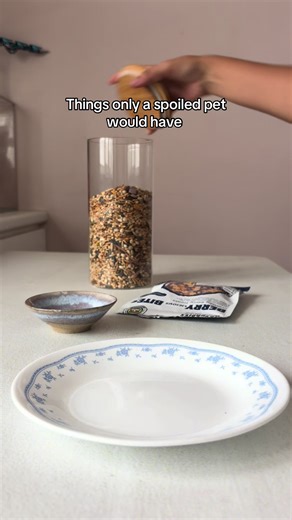 Spoiled Pet Feeding: A Hamster's Food Preferences