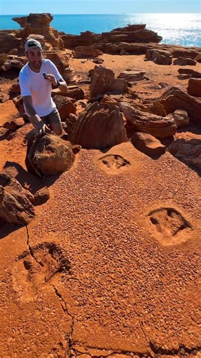 Hidden dinosaur footprints in Australia! 🦖 - Located just a three hour flight from Perth in Western Australia, Broome is home to some of the world’s best preserved dinosaur footprints, dating back more than 130 million years. This stretch of coastline features up to 21 different types of tracks, from massive plant-eating sauropods to three-toed theropods. To see these prints yourself, you’ll need to visit the beaches at low tide but I decided to join a Dinosaur Adventure Cruise! This incredible