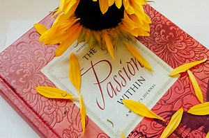 Best 5 Flyer Maker Software for Fitness Centers to Create Fitness Flyers - FlipHTML5