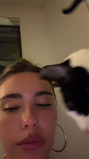 Madison Beer: Adorable Cats and Stunning Concert Outfits