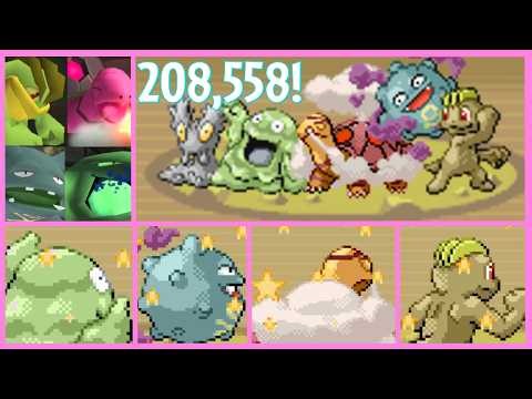 I hunted EVERY shiny in Fiery Path in Pokmeon Ruby/Sapphire after 208,558 Wild Encounters!