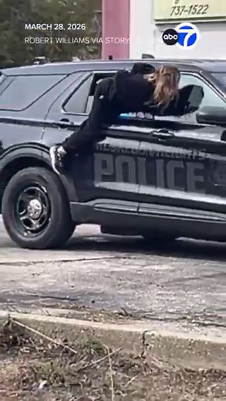 A woman escaped police custody after wiggling out of an open car window.