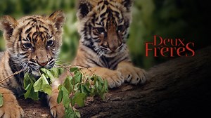 Deux frères - Apple TV