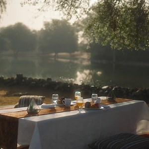 Not your typical breakfast outing! Get closer to nature and start your day in tranquility with a Morning Desert Safari. | Arabian Adventures