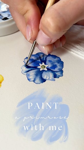A little video of watercolour doing its thing… to be continued! 💙 This is the penultimate primrose in this collection that’s inadvertently formed as I’ve been doing my monthly botanical illustration pages - I can’t wait to show you them all soon, and how I’ve used them! 👀♥️ #botanicalart #botanicalillustration #botanicalwatercolor #botanicalartist #watercolor #watercolorreel #learnwatercolor #helencousinsbotanics #watercolorpainting #primrose #englishspring #artistsoninstagram | Helen Cousins 