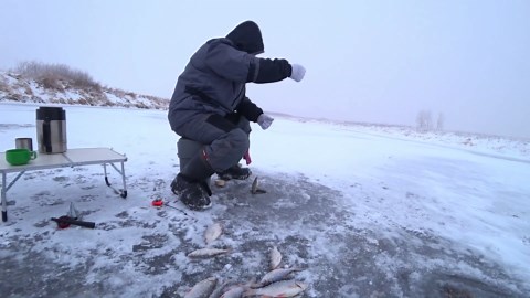 Traditional Mullet Fishing: The Power of Cast Netting for Huge Catch