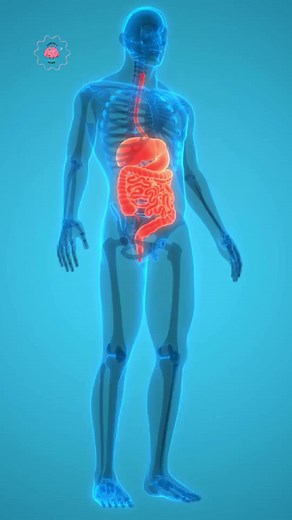 Curious Mind on TikTok