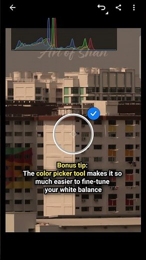 10 Seconds Photography Tip: Fixing White Balance in Editing #PhotographyTips #whitebalance
